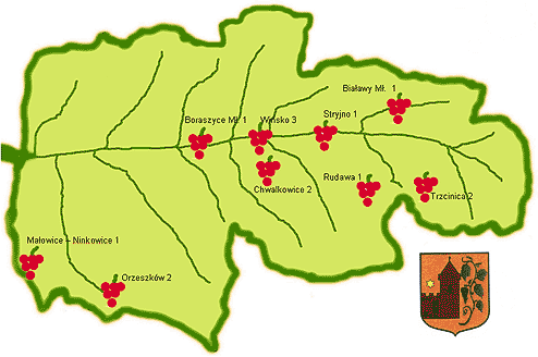  Nowe Winnice w gminie Wisko - nawet ksztat obszaru gminy przypomina li winoroli. Do rozwinicia tradycji winiarskich pozostao jak wida niewiele ...